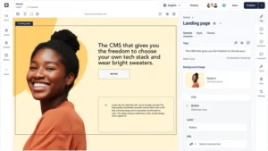 storyblok platform